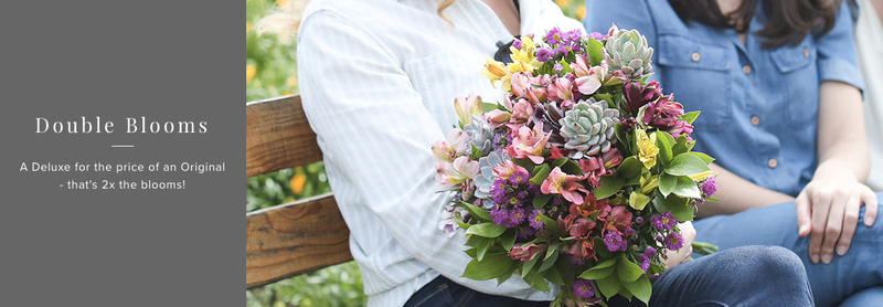 Deluxe bouquet for the price of Original with code DOUBLETROUBLE